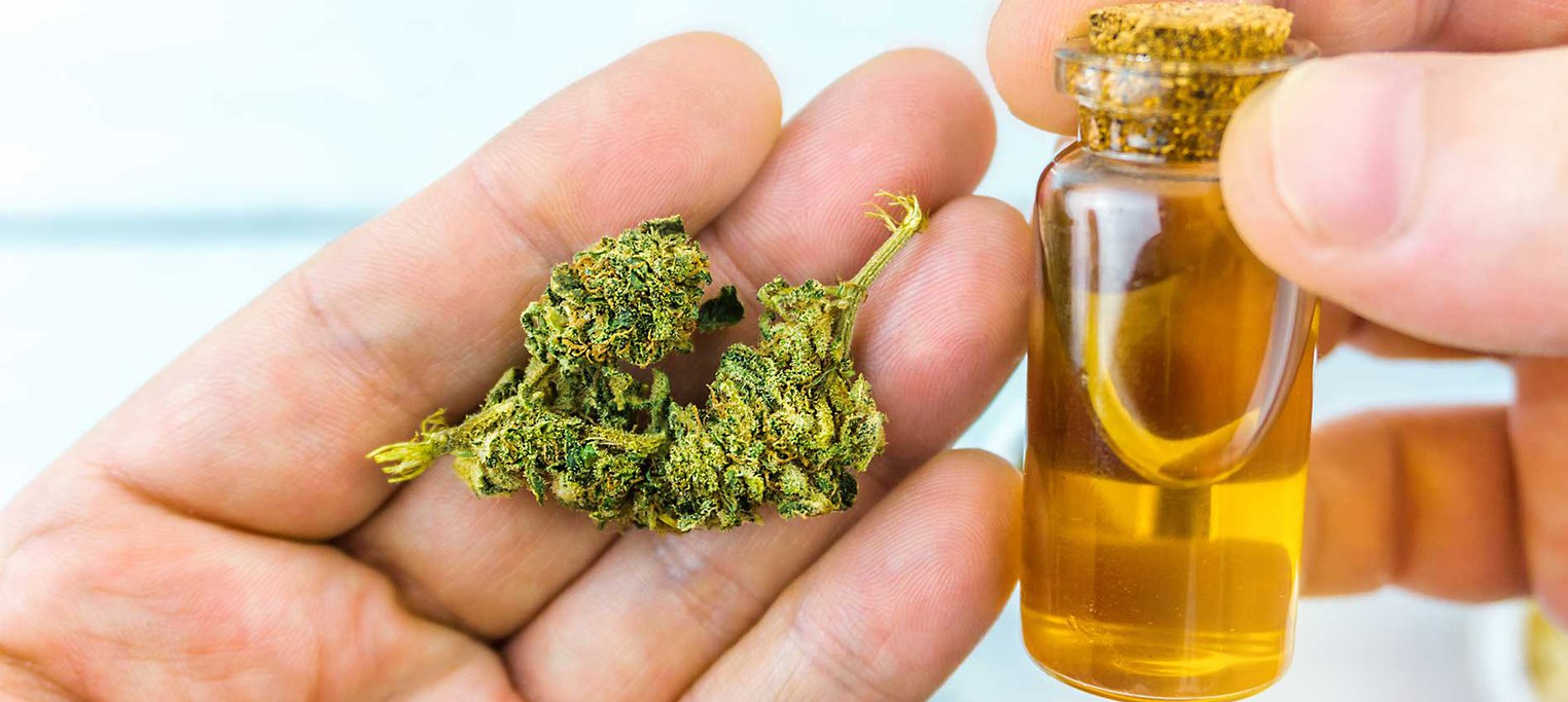 How to Pick the Perfect CBD Edible For You